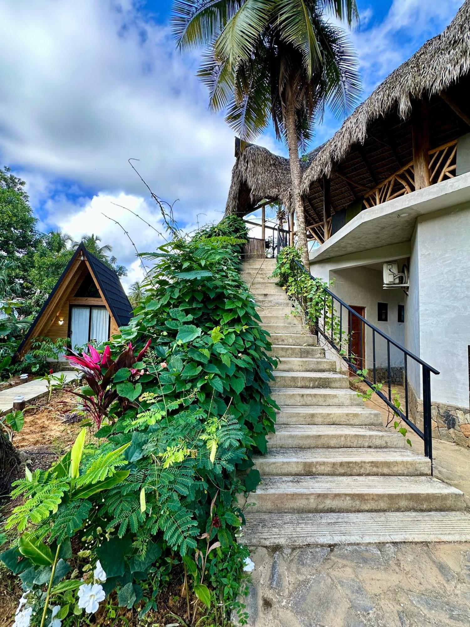 Leisy'S Garden Hostel & Rooms Samana Eksteriør billede